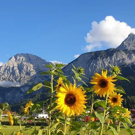 Haus Angelika شقة ايروالد